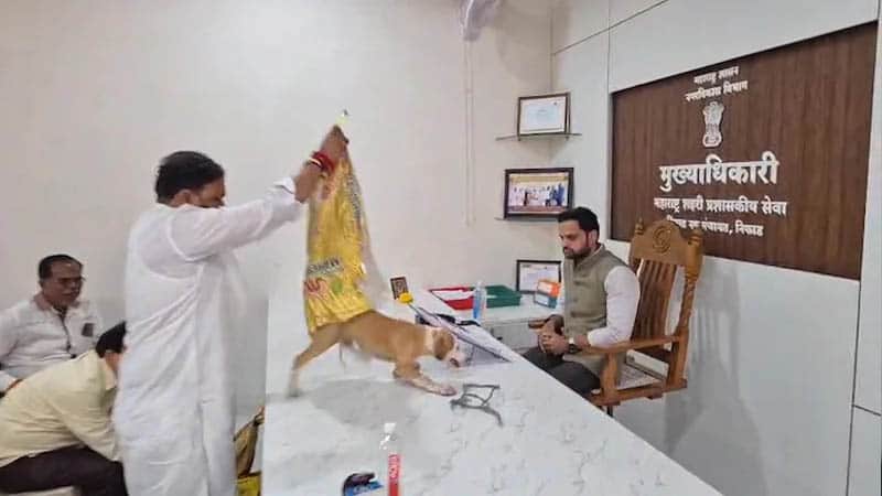 কুকুরের উৎপাত নিয়ে কর্মকর্তার টেবিলে ৪ কুকুর ছেড়ে প্রতিবাদ