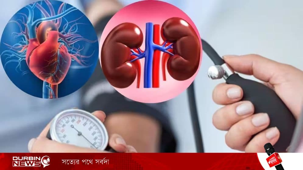 কিডনি রোগের আগাম লক্ষণ