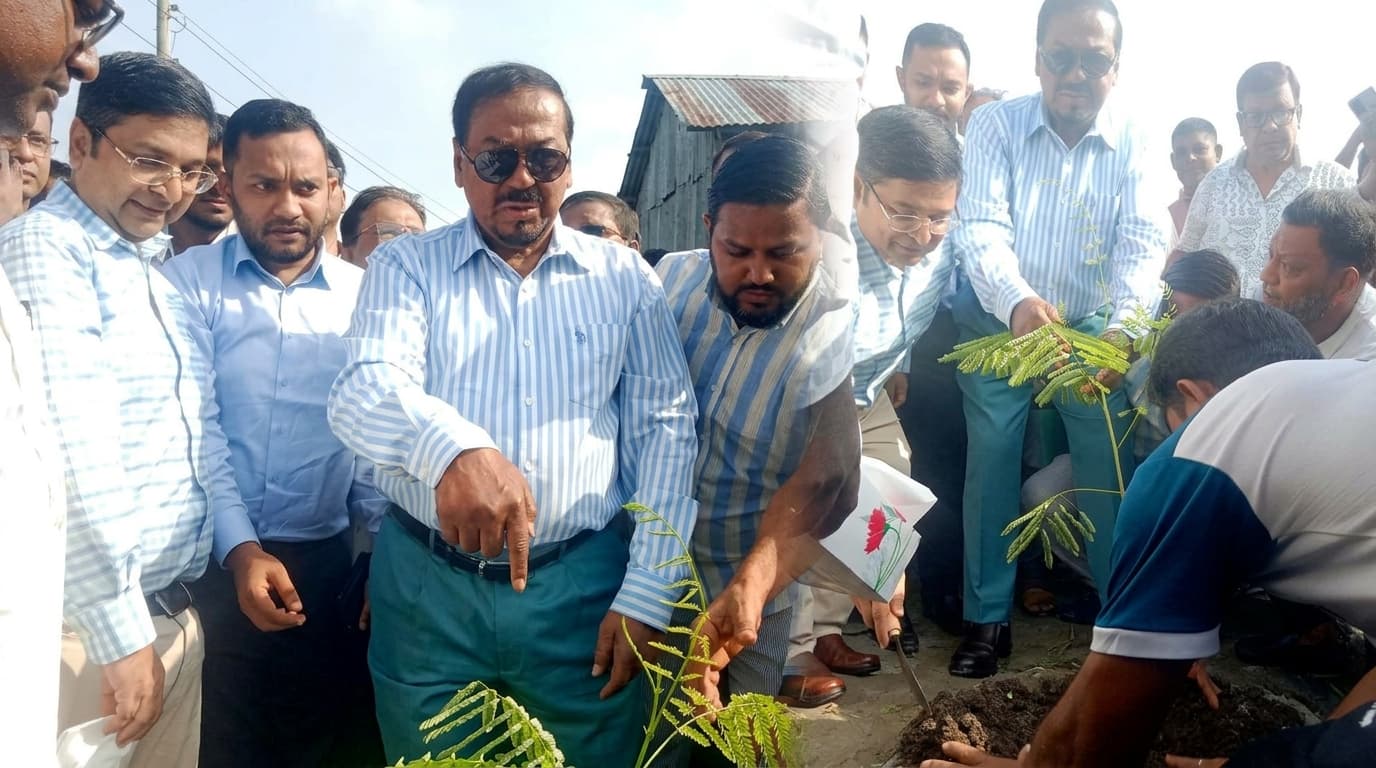 ভোলা-চরফ্যাশন মহাসড়কের দুই পাশে ৭০ কিলোমিটার বৃক্ষরোপণ কর্মসূচি উদ্বোধন করলেন স্পিকার
