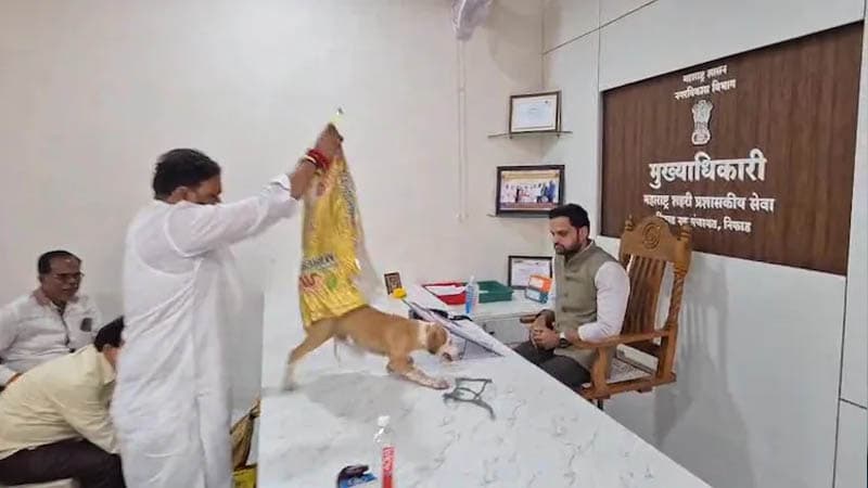 কুকুরের উৎপাত নিয়ে কর্মকর্তার টেবিলে ৪ কুকুর ছেড়ে প্রতিবাদ