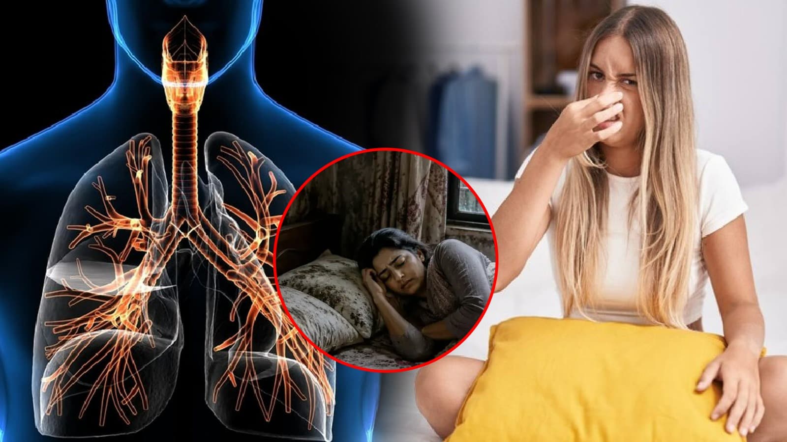 বালিশ পরিষ্কার না রাখলে কী হয়? শ্বাসযন্ত্র নিয়ে সতর্ক করছেন বিশেষজ্ঞরা